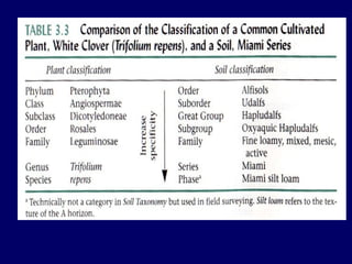 Comprehensive Overview of USDA Soil Taxonomy and Classification | PPT