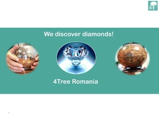 1
We discover diamonds!
4Tree Romania
 