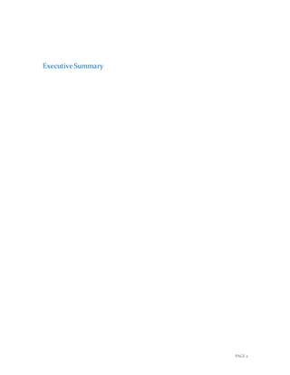 PAGE 2
Executive Summary
 