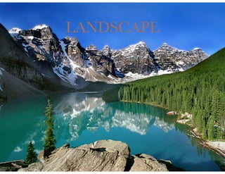 LANDSCAPE
 