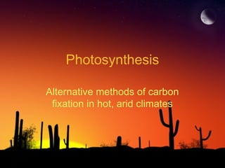 Photosynthesis
Alternative methods of carbon
fixation in hot, arid climates

 