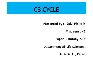 C3 CYCLE
Presented by : - Salvi Pinky P.
M.sc sem : - 3
Paper : - Botany 503
Department of Life sciences,
H. N. G. U., Patan
 