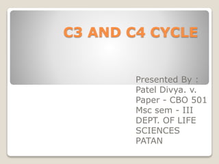 C3 AND C4 CYCLE
Presented By :
Patel Divya. v.
Paper - CBO 501
Msc sem - III
DEPT. OF LIFE
SCIENCES
PATAN
 