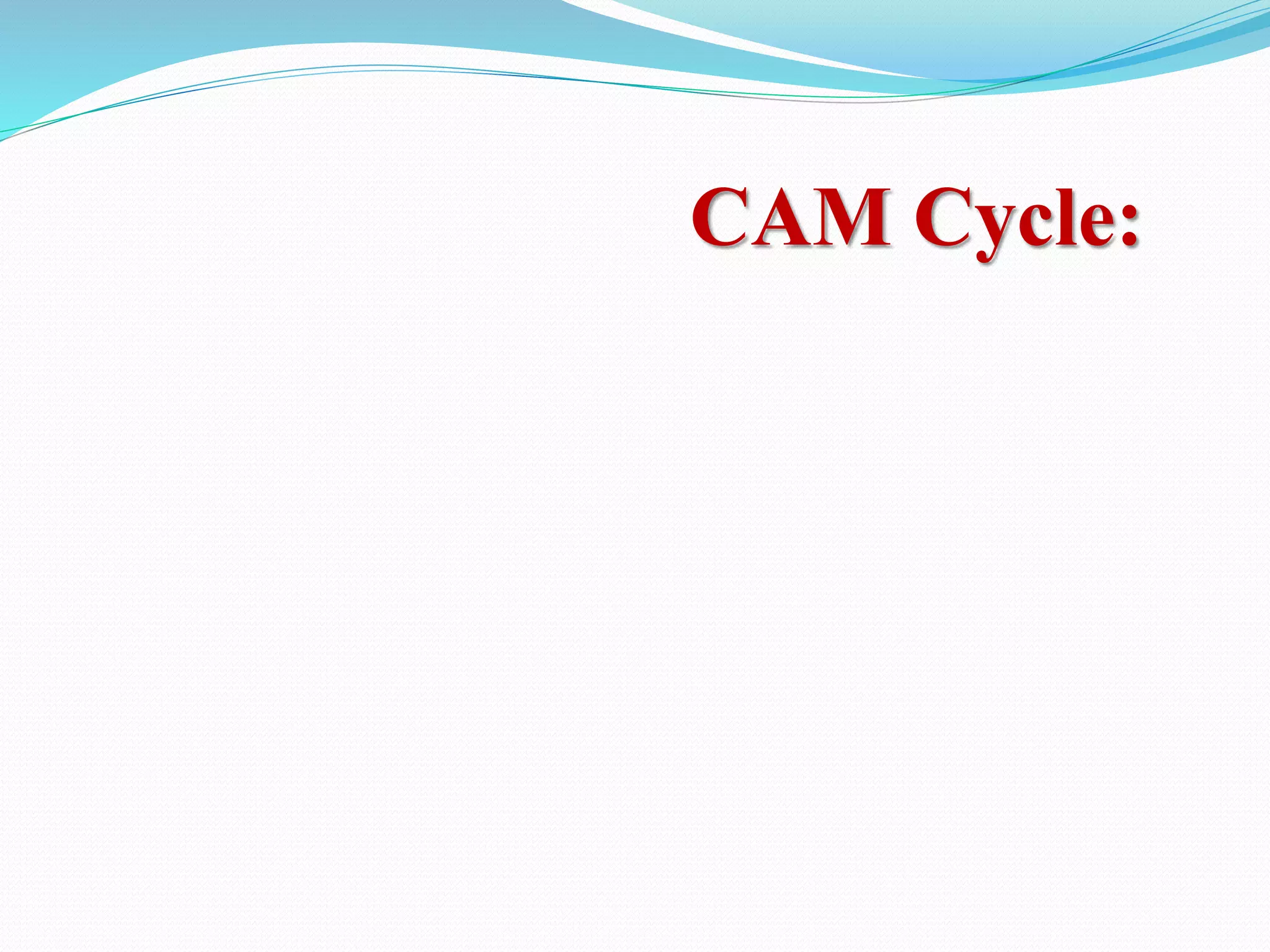 CAM Cycle:
 