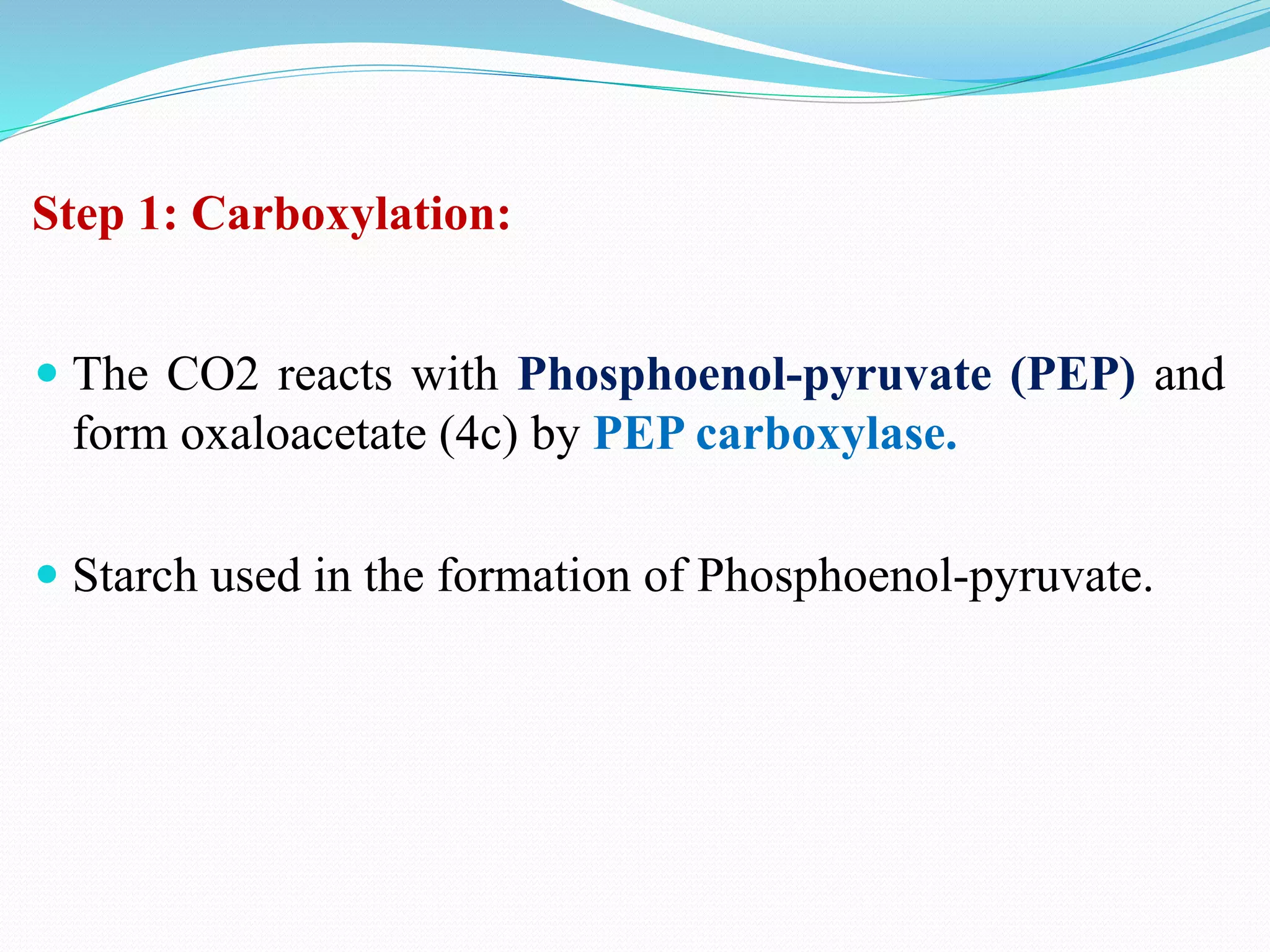 Step 1: Carboxylation:
 The CO2 reacts with Phosphoenol-pyruvate (PEP) and
form oxaloacetate (4c) by PEP carboxylase.
 Starch used in the formation of Phosphoenol-pyruvate.
 