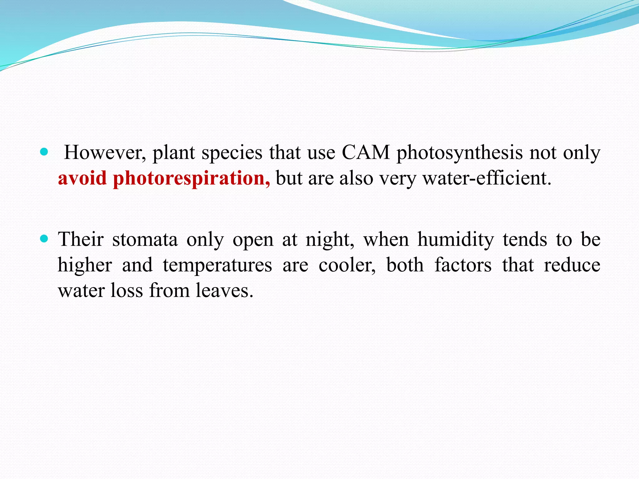  However, plant species that use CAM photosynthesis not only
avoid photorespiration, but are also very water-efficient.
 Their stomata only open at night, when humidity tends to be
higher and temperatures are cooler, both factors that reduce
water loss from leaves.
 