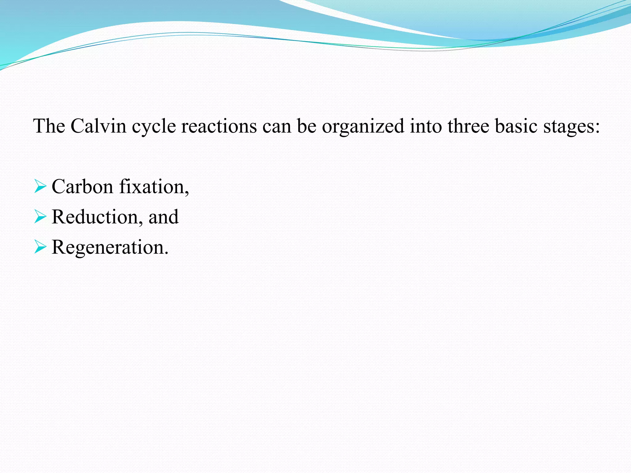 The Calvin cycle reactions can be organized into three basic stages:
 Carbon fixation,
 Reduction, and
 Regeneration.
 