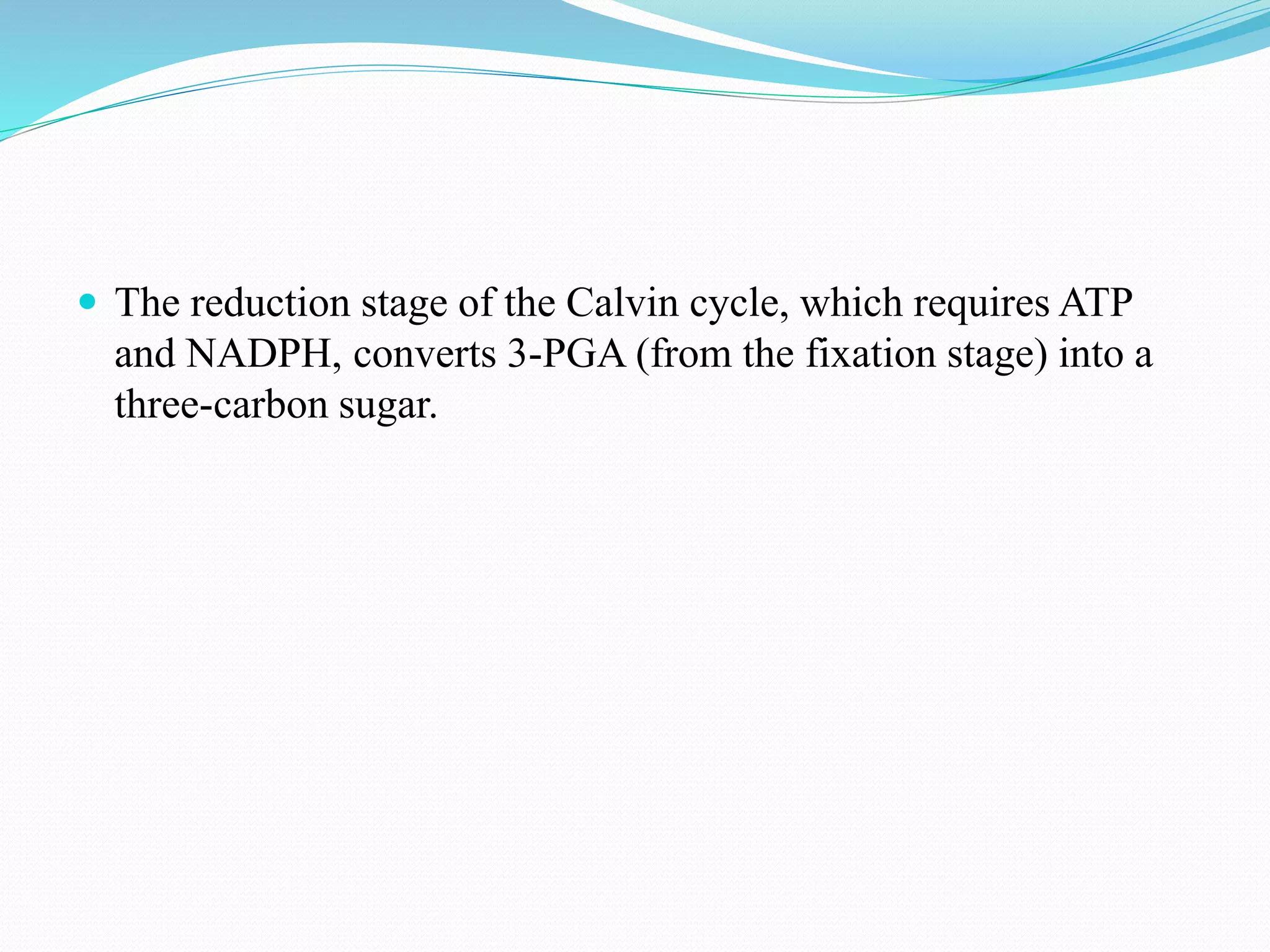  The reduction stage of the Calvin cycle, which requires ATP
and NADPH, converts 3-PGA (from the fixation stage) into a
three-carbon sugar.
 