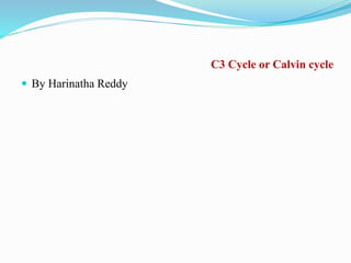 C3 Cycle or Calvin cycle
 By Harinatha Reddy
 