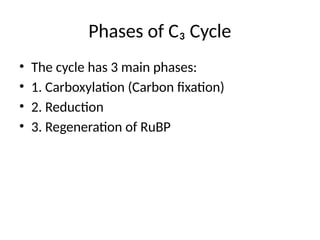 C3_Cycle_Presentation.pptx , complete c3 cycle | PPTX