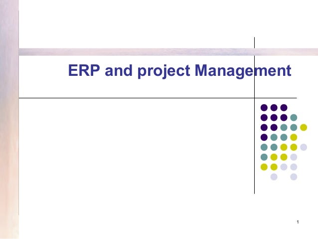 Erp Project Mgt Approach
