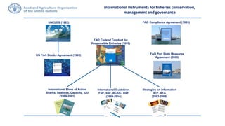 International instruments for fisheries conservation,
management and governance
UNCLOS (1982)
UN Fish Stocks Agreement (1995) FAO Port State Measures
Agreement (2009)
FAO Compliance Agreement (1993)
FAO Code of Conduct for
Responsible Fisheries (1995)
International Plans of Action
Sharks, Seabirds, Capacity, IUU
(1999-2001)
Strategies on information
STF, STA
(2003-2008)
International Guidelines
FSP, SSF, BC/DC, DSF
(2009-2014)
 