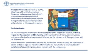 The Code of Conduct was drawn up by FAO,
following a call from the International
Conference on Responsible Fishing (1992),
to strengthen the international legal
framework for more effective conservation,
management and sustainable exploitation
and production of living aquatic resources.
The Code aims to:
Set out principles and international standards of behavior for responsible practices, with due
respect for the ecosystem and biodiversity, and recognizes the nutritional, economic, social,
environmental and cultural importance of fisheries, and the interests of all those concerned with
the fishery sector.
Provide a reference framework for national and international efforts, including the formulation of
policies and other legal and institutional frameworks and instruments, to ensure sustainable
exploitation of aquatic living resources in harmony with the environment.
 