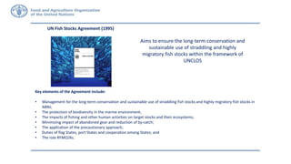 Aims to ensure the long-term conservation and
sustainable use of straddling and highly
migratory fish stocks within the framework of
UNCLOS
Key elements of the Agreement include:
• Management for the long-term conservation and sustainable use of straddling fish stocks and highly migratory fish stocks in
ABNJ;
• The protection of biodiversity in the marine environment;
• The impacts of fishing and other human activities on target stocks and their ecosystems;
• Minimizing impact of abandoned gear and reduction of by-catch;
• The application of the precautionary approach;
• Duties of flag States, port States and cooperation among States; and
• The role RFMO/As.
UN Fish Stocks Agreement (1995)
 