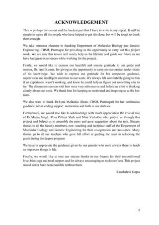 Technical Paper Acknowledgement Example B.Tech Thesis | PDF