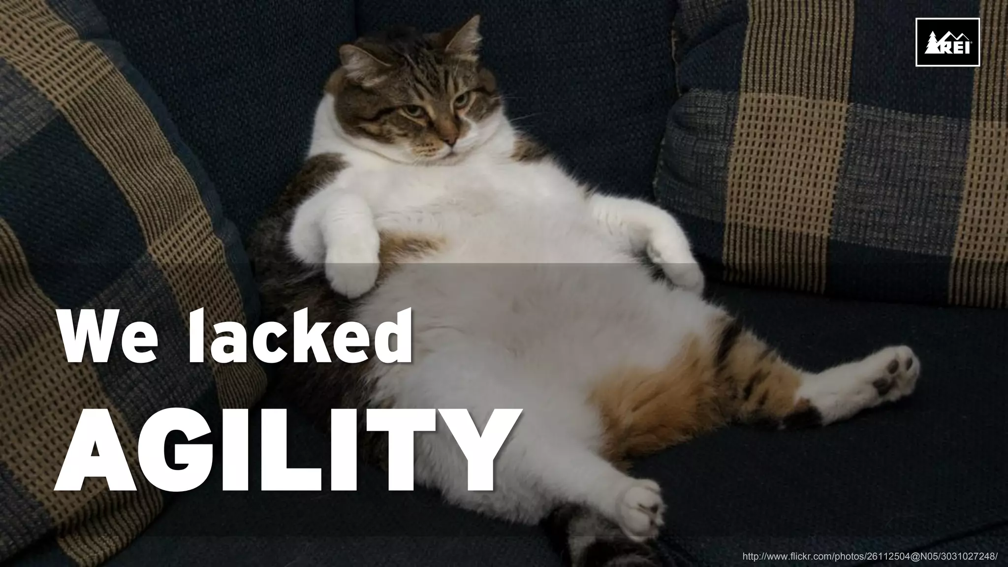 We lacked
AGILITY
            http://www.flickr.com/photos/26112504@N05/3031027248/
 