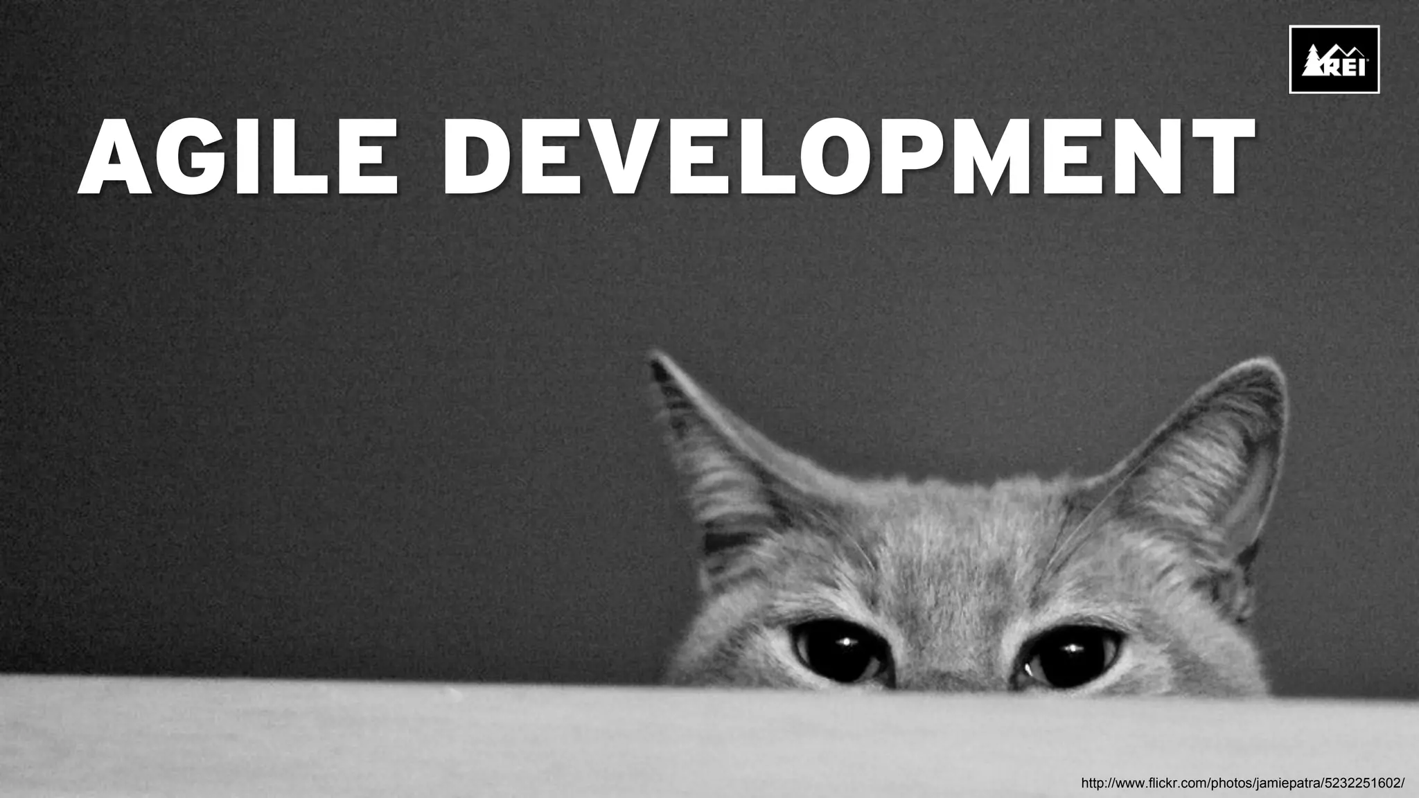 AGILE DEVELOPMENT




              http://www.flickr.com/photos/jamiepatra/5232251602/
 