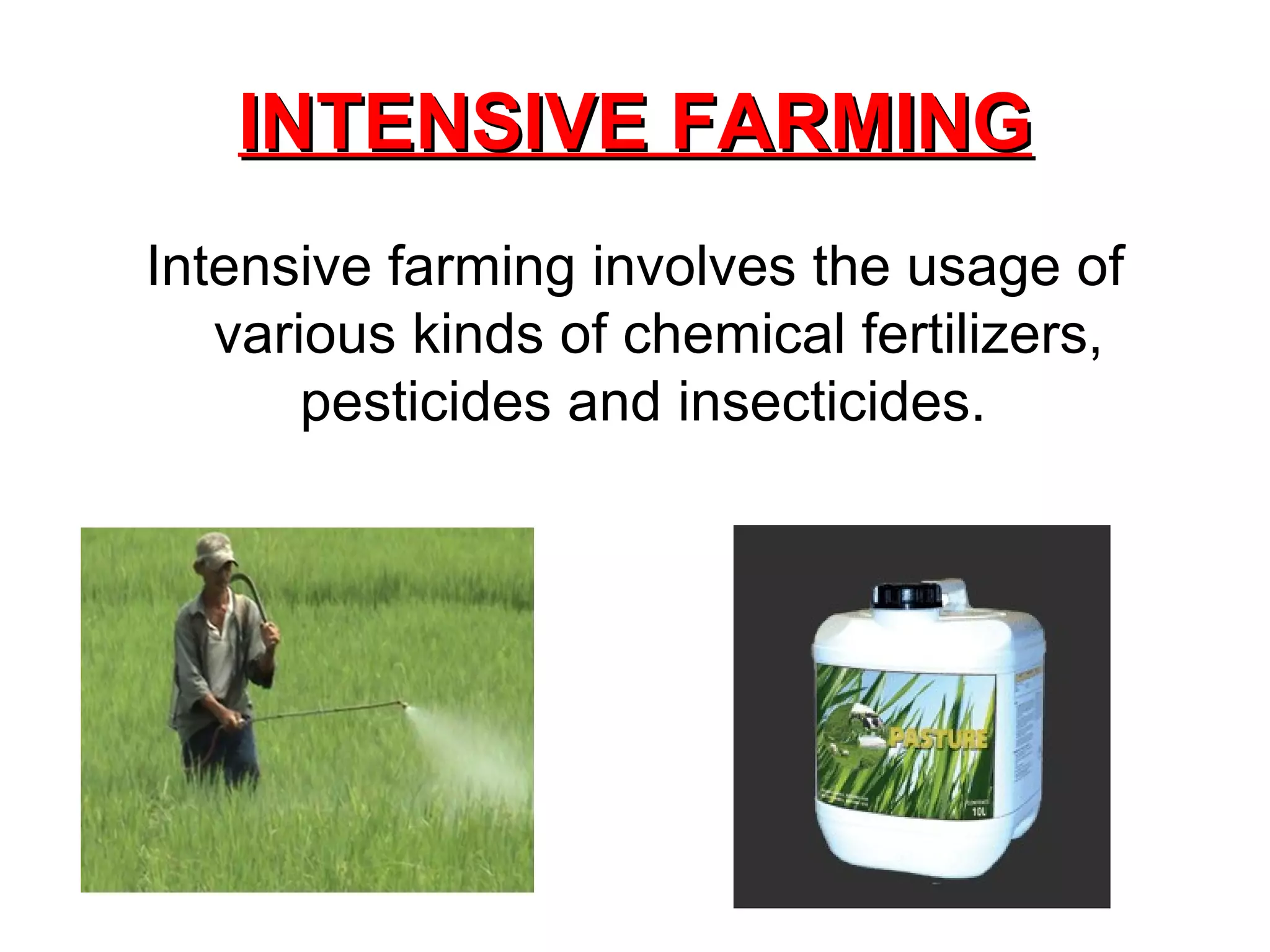 INTENSIVE FARMING Intensive farming involves the usage of various kinds of chemical fertilizers, pesticides and insecticides.  