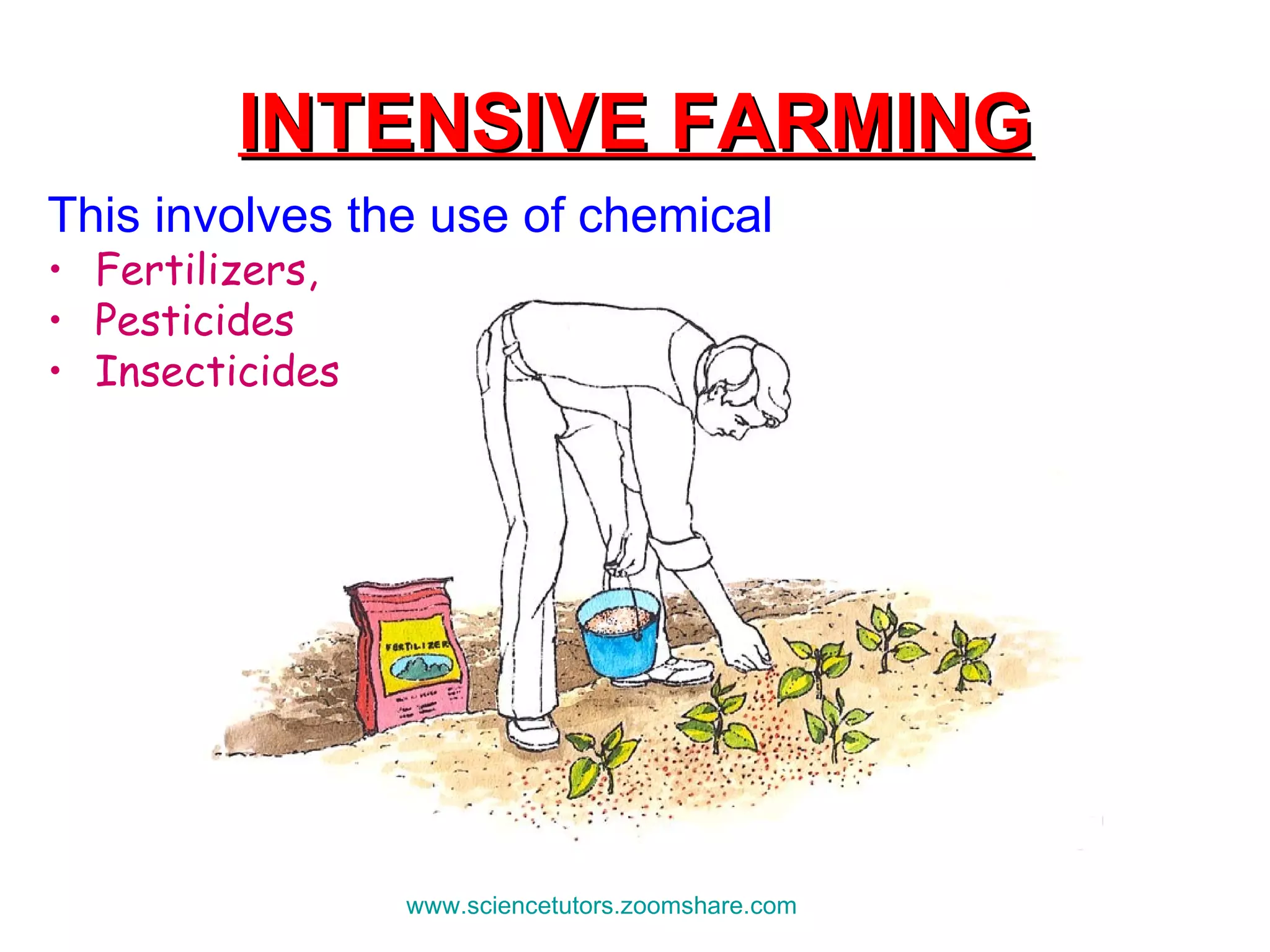 INTENSIVE FARMING This involves the use of chemical  Fertilizers,  Pesticides Insecticides   www.sciencetutors.zoomshare.com   
