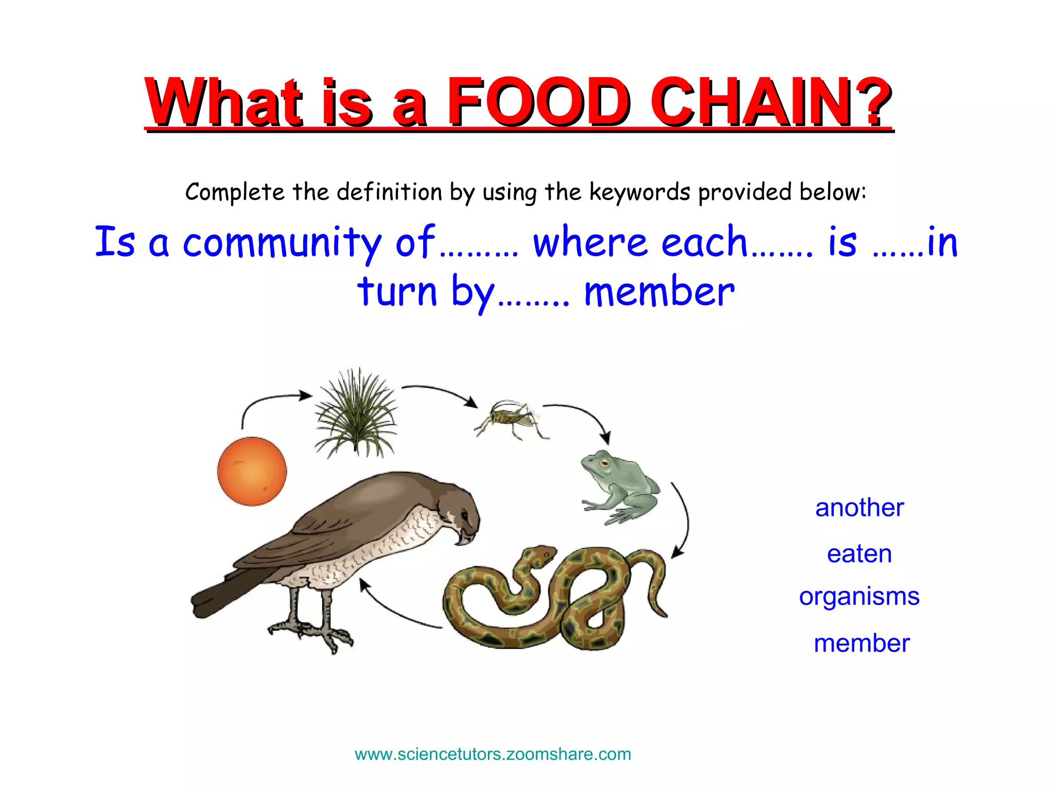 What is a FOOD CHAIN?   Complete the definition by using the keywords provided below: Is a community of……… where each……. is ……in turn by…….. member www.sciencetutors.zoomshare.com   organisms member eaten another 
