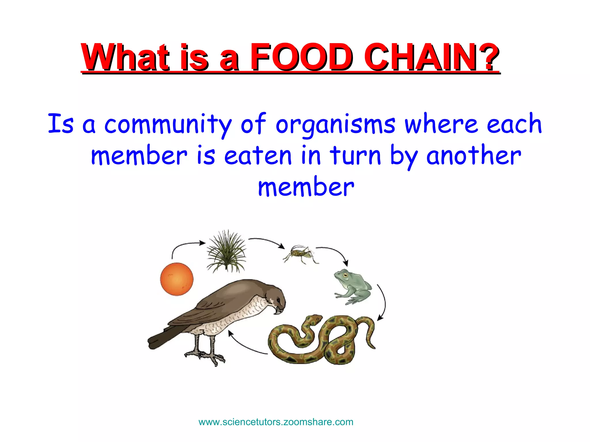 What is a FOOD CHAIN?   Is a community of organisms where each member is eaten in turn by another member www.sciencetutors.zoomshare.com   