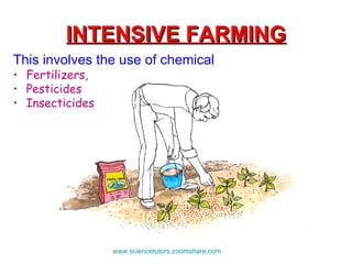 INTENSIVE FARMING This involves the use of chemical  Fertilizers,  Pesticides Insecticides   www.sciencetutors.zoomshare.com   