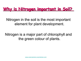 Why is Nitrogen important in Soil?  Nitrogen in the soil is the most important element for plant development.  Nitrogen is a major part of chlorophyll and the green colour of plants.  www.sciencetutors.zoomshare.com   