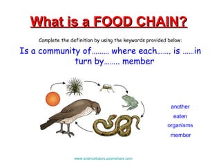 What is a FOOD CHAIN?   Complete the definition by using the keywords provided below: Is a community of……… where each……. is ……in turn by…….. member www.sciencetutors.zoomshare.com   organisms member eaten another 