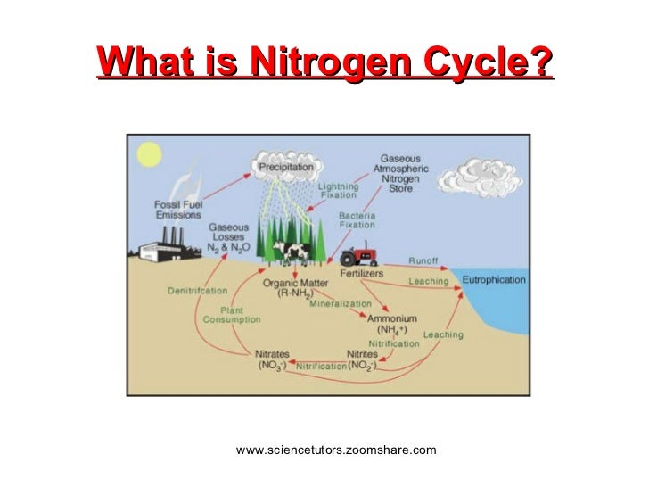 nitrogen