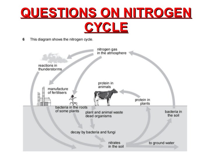 soil science