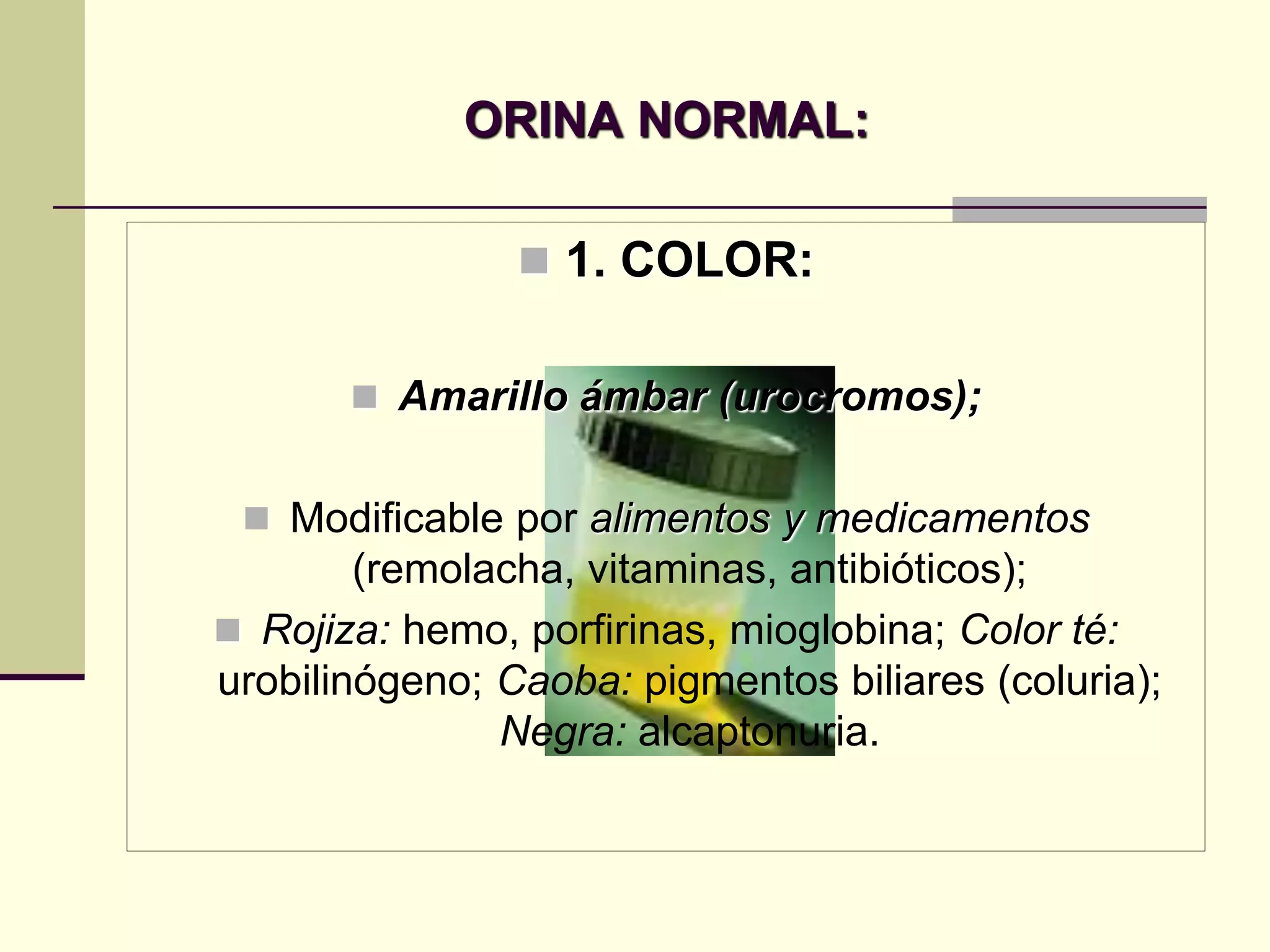 ORINA NORMAL:

                 1. COLOR:


        Amarillo ámbar (urocromos);


  Modificable por alimentos y medicamentos
        (remolacha, vitaminas, antibióticos);
 Rojiza: hemo, porfirinas, mioglobina; Color té:
urobilinógeno; Caoba: pigmentos biliares (coluria);
               Negra: alcaptonuria.
 