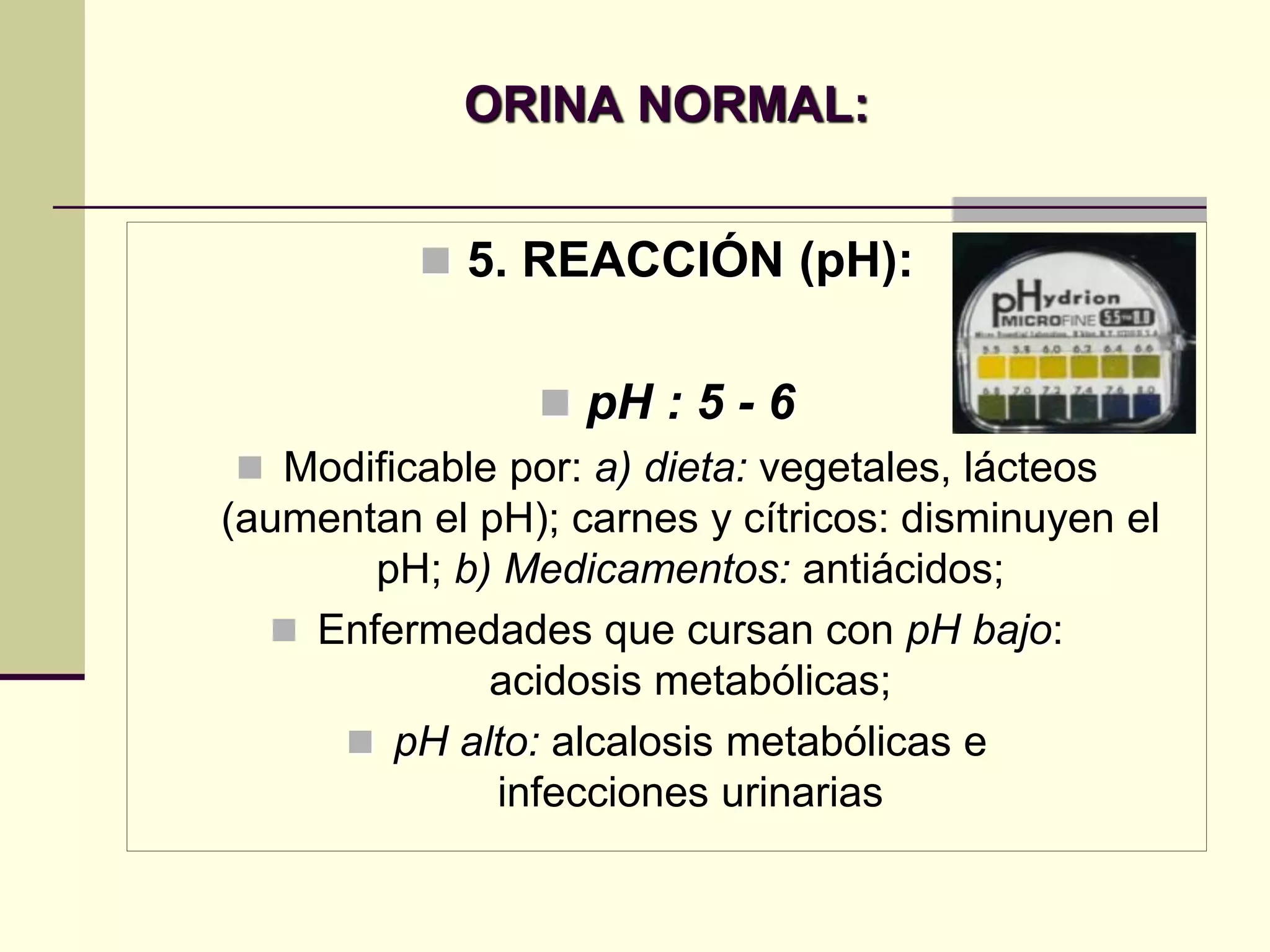 ORINA NORMAL:


           5. REACCIÓN (pH):


                  pH : 5 - 6
  Modificable por: a) dieta: vegetales, lácteos
(aumentan el pH); carnes y cítricos: disminuyen el
       pH; b) Medicamentos: antiácidos;
   Enfermedades que cursan con pH bajo:
              acidosis metabólicas;
      pH alto: alcalosis metabólicas e
              infecciones urinarias
 