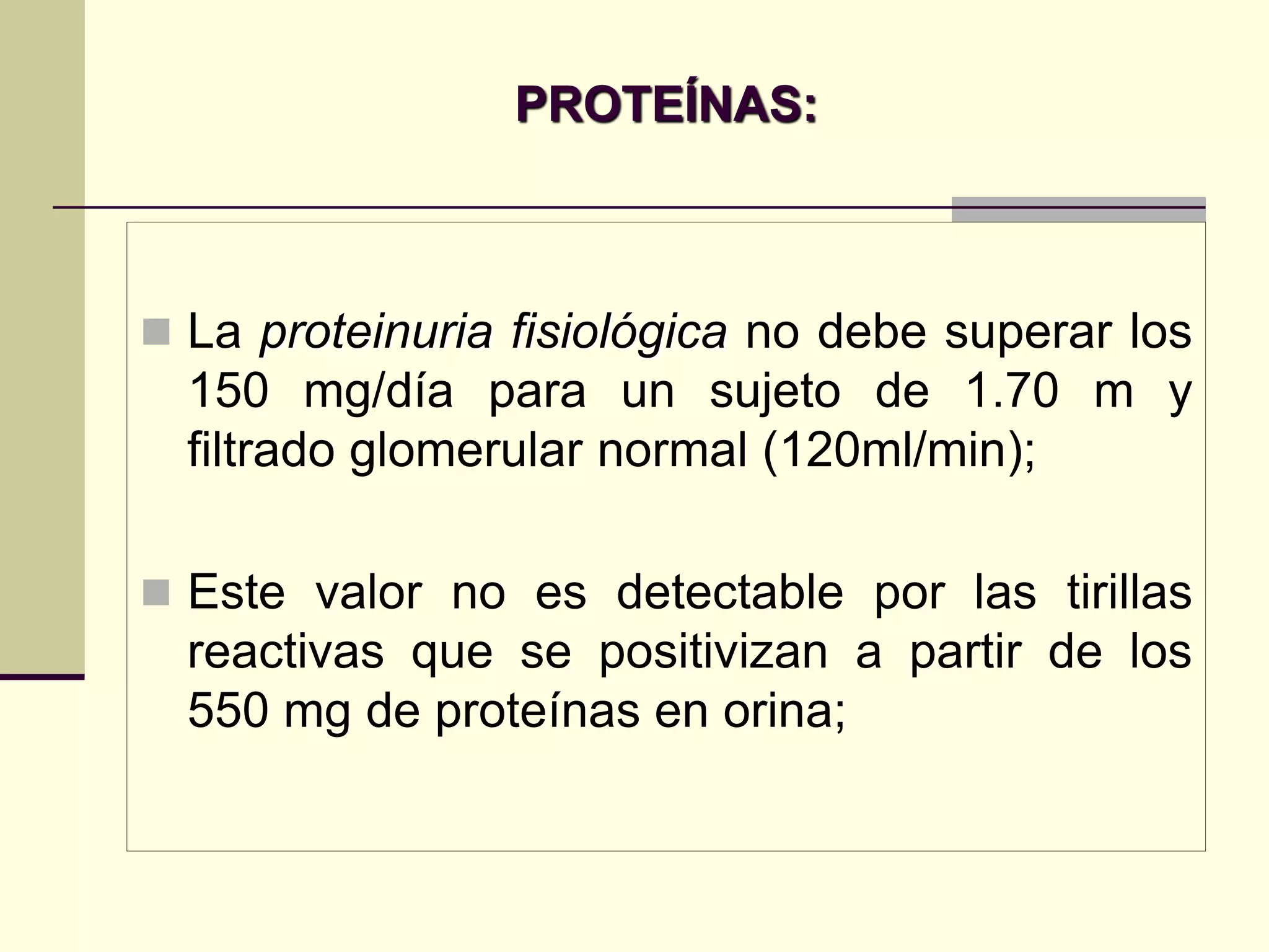 PROTEÍNAS:



 La proteinuria fisiológica no debe superar los
  150 mg/día para un sujeto de 1.70 m y
  filtrado glomerular normal (120ml/min);

 Este valor no es detectable por las tirillas
  reactivas que se positivizan a partir de los
  550 mg de proteínas en orina;
 