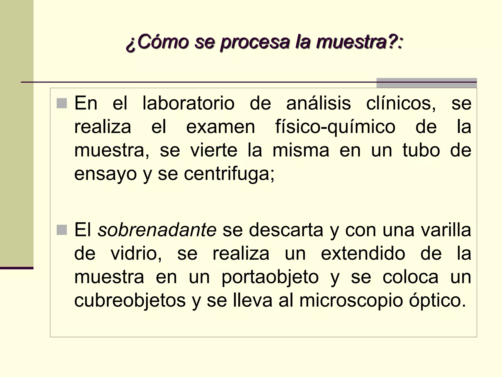 ¿Cómo se procesa la muestra?:


 En el laboratorio de análisis clínicos, se
  realiza el examen físico-químico de la
  muestra, se vierte la misma en un tubo de
  ensayo y se centrifuga;

 El sobrenadante se descarta y con una varilla
  de vidrio, se realiza un extendido de la
  muestra en un portaobjeto y se coloca un
  cubreobjetos y se lleva al microscopio óptico.
 