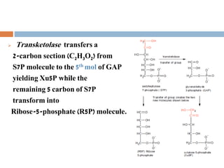  Transketolase transfers a
2-carbon section (C2H3O2) from
S7P molecule to the 5th mol of GAP
yielding Xu5P while the
remaining 5 carbon of S7P
transform into
Ribose-5-phosphate (R5P) molecule.
 