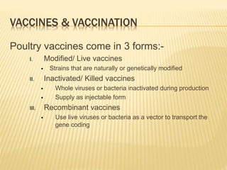 VACCINES & VACCINATION
Poultry vaccines come in 3 forms:-
I. Modified/ Live vaccines
 Strains that are naturally or genetically modified
II. Inactivated/ Killed vaccines
 Whole viruses or bacteria inactivated during production
 Supply as injectable form
III. Recombinant vaccines
 Use live viruses or bacteria as a vector to transport the
gene coding
 