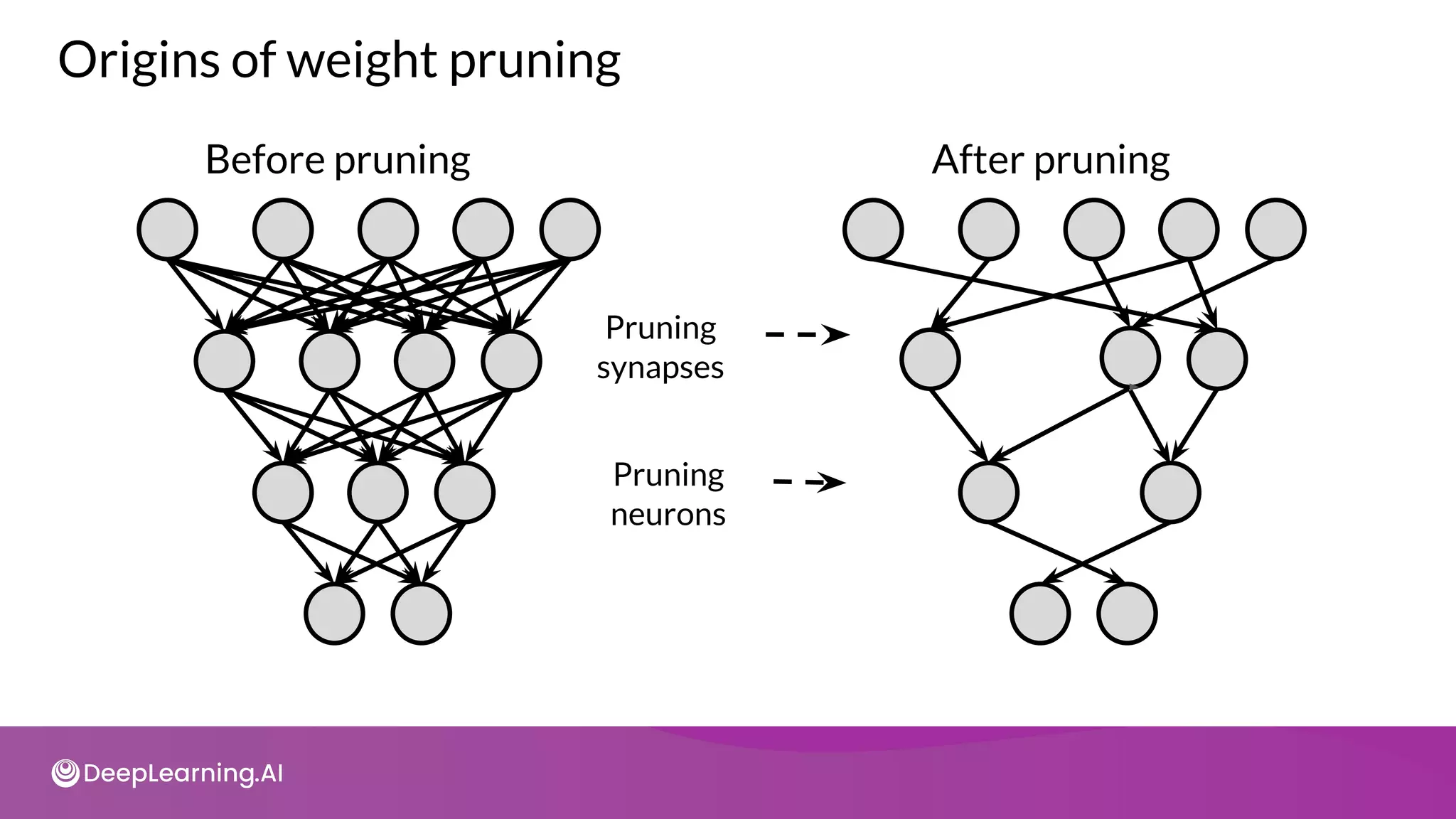 Before pruning After pruning
Pruning
synapses
Pruning
neurons
Origins of weight pruning
 