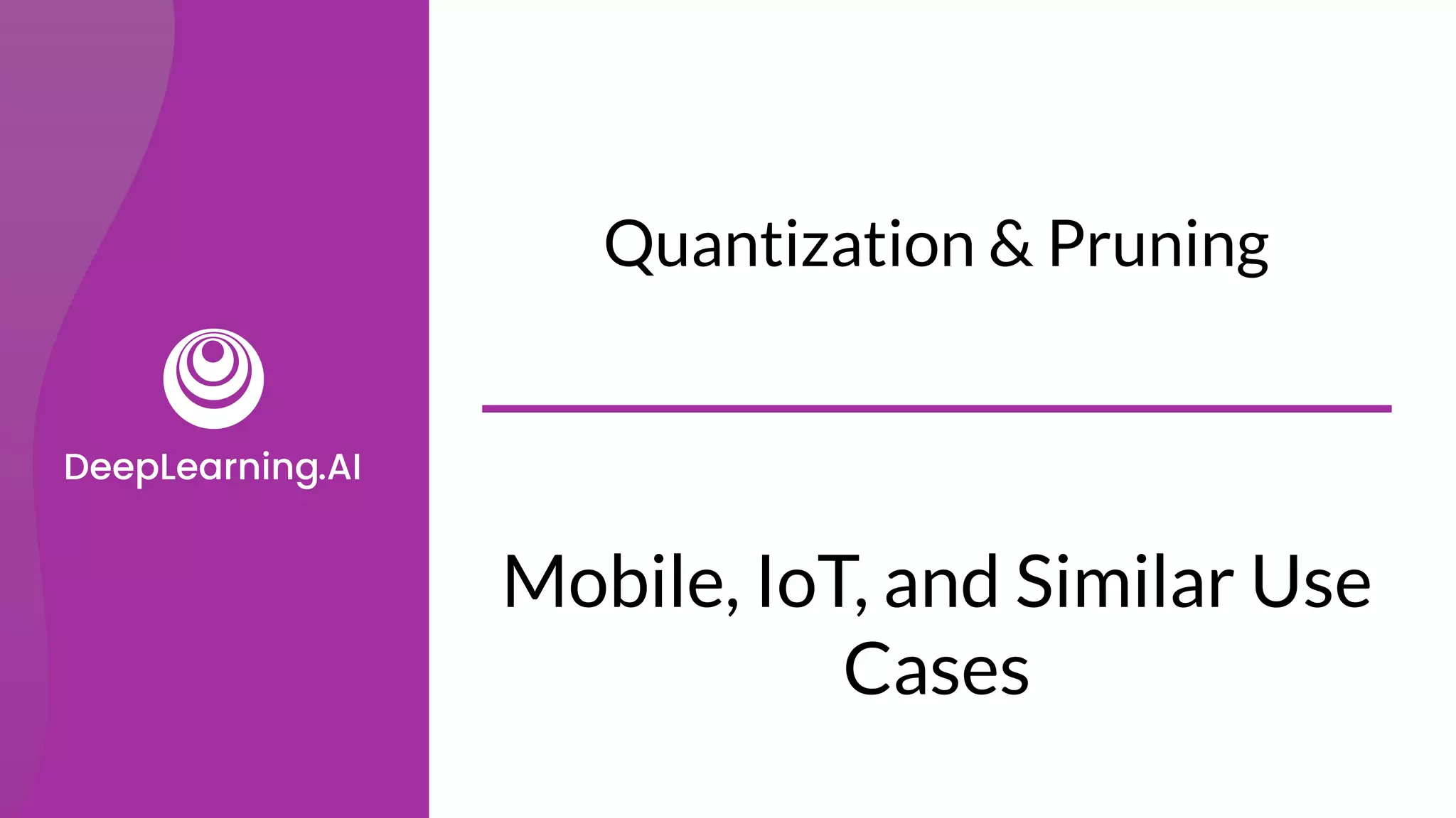 Mobile, IoT, and Similar Use
Cases
Quantization & Pruning
 