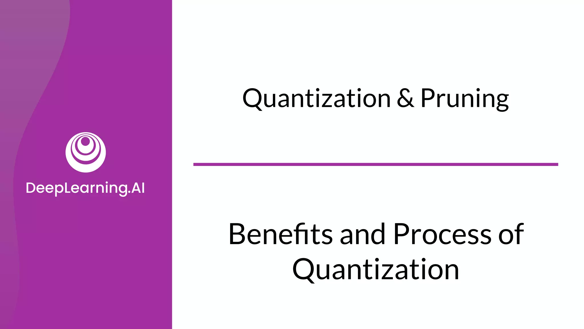 Beneﬁts and Process of
Quantization
Quantization & Pruning
 