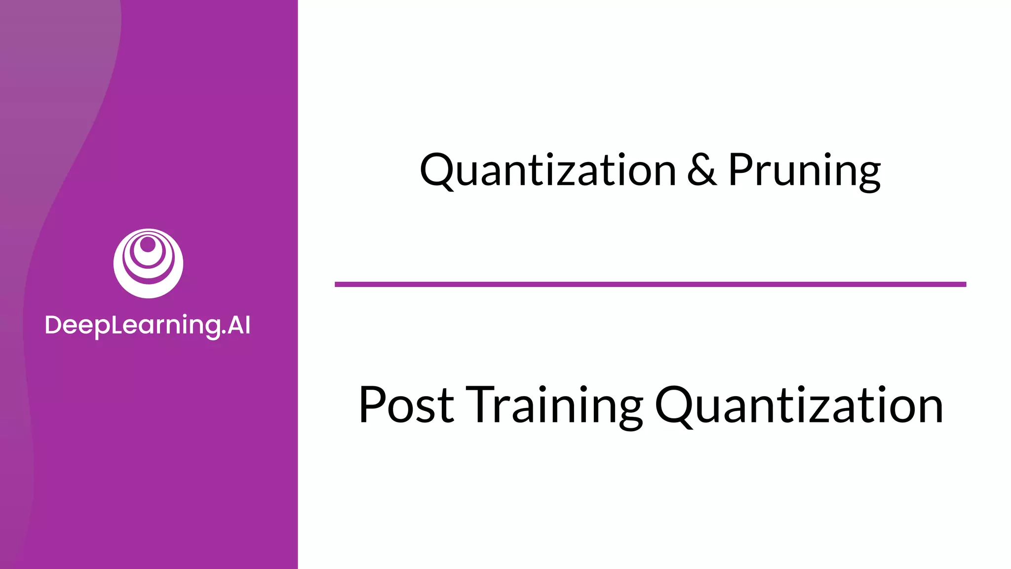 Post Training Quantization
Quantization & Pruning
 
