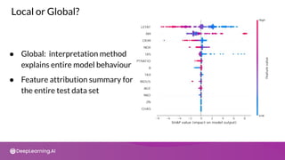 Local Feature Attribution C3 w5 | PDF