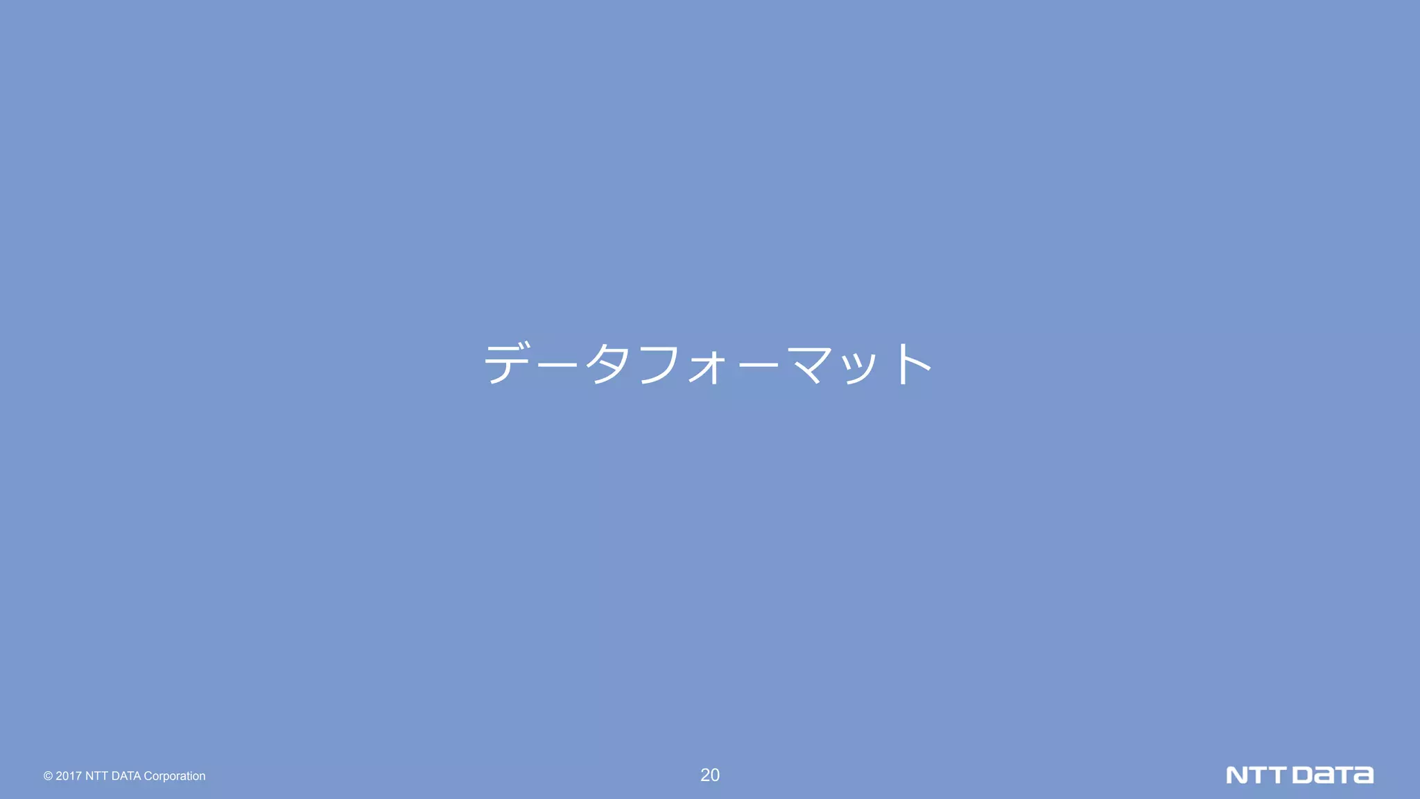 © 2017 NTT DATA Corporation 20
データフォーマット
 