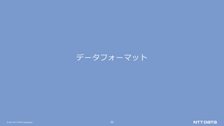 © 2017 NTT DATA Corporation 20
データフォーマット
 