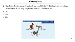 30
Bài tập áp dụng
 Hãy vẽ giản đồ năng lương để tạo thành các orbital lai hóa. Từ đó vẽ sự thành liên kết dựa
vào các orbital lai hóa trong các phân tử, chỉ rõ liên kết nào là σ, π?
a/ CH4
b/ C2H4
c/ C2H2
 