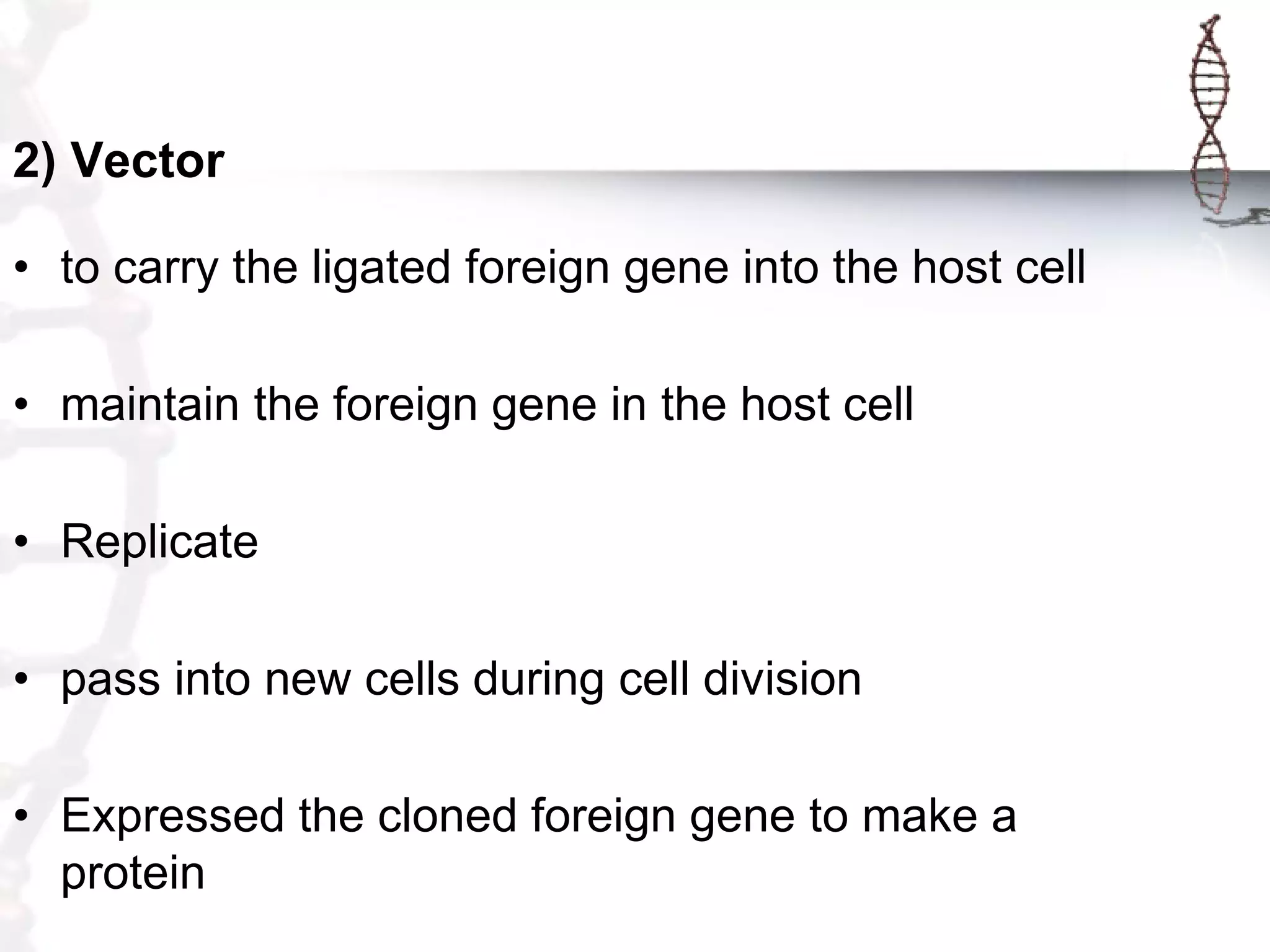 2) Vector
• to carry the ligated foreign gene into the host cell
• maintain the foreign gene in the host cell

• Replicate
• pass into new cells during cell division
• Expressed the cloned foreign gene to make a
protein

 
