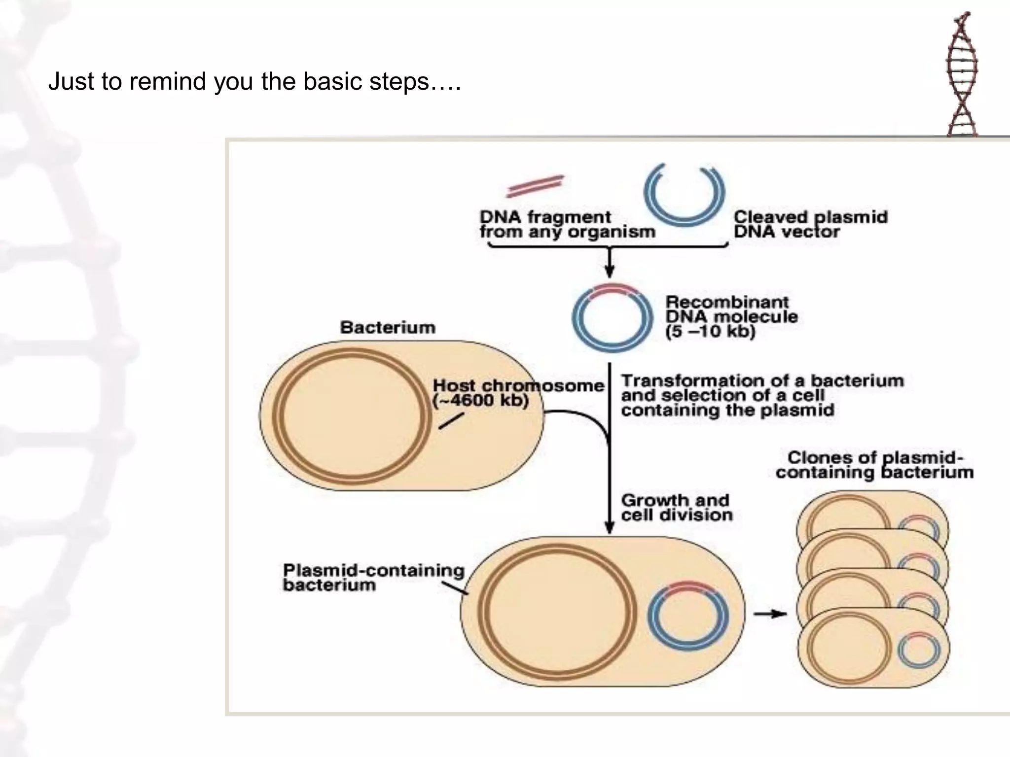 Just to remind you the basic steps….

 