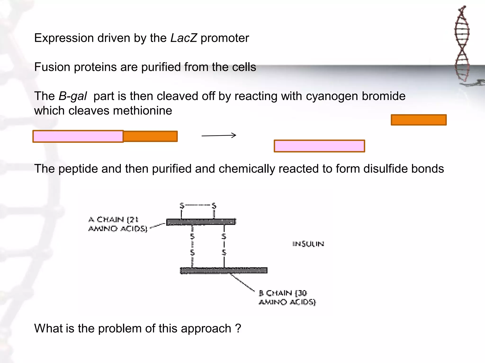 Expression driven by the LacZ promoter

Fusion proteins are purified from the cells
The B-gal part is then cleaved off by reacting with cyanogen bromide
which cleaves methionine

The peptide and then purified and chemically reacted to form disulfide bonds

What is the problem of this approach ?

 