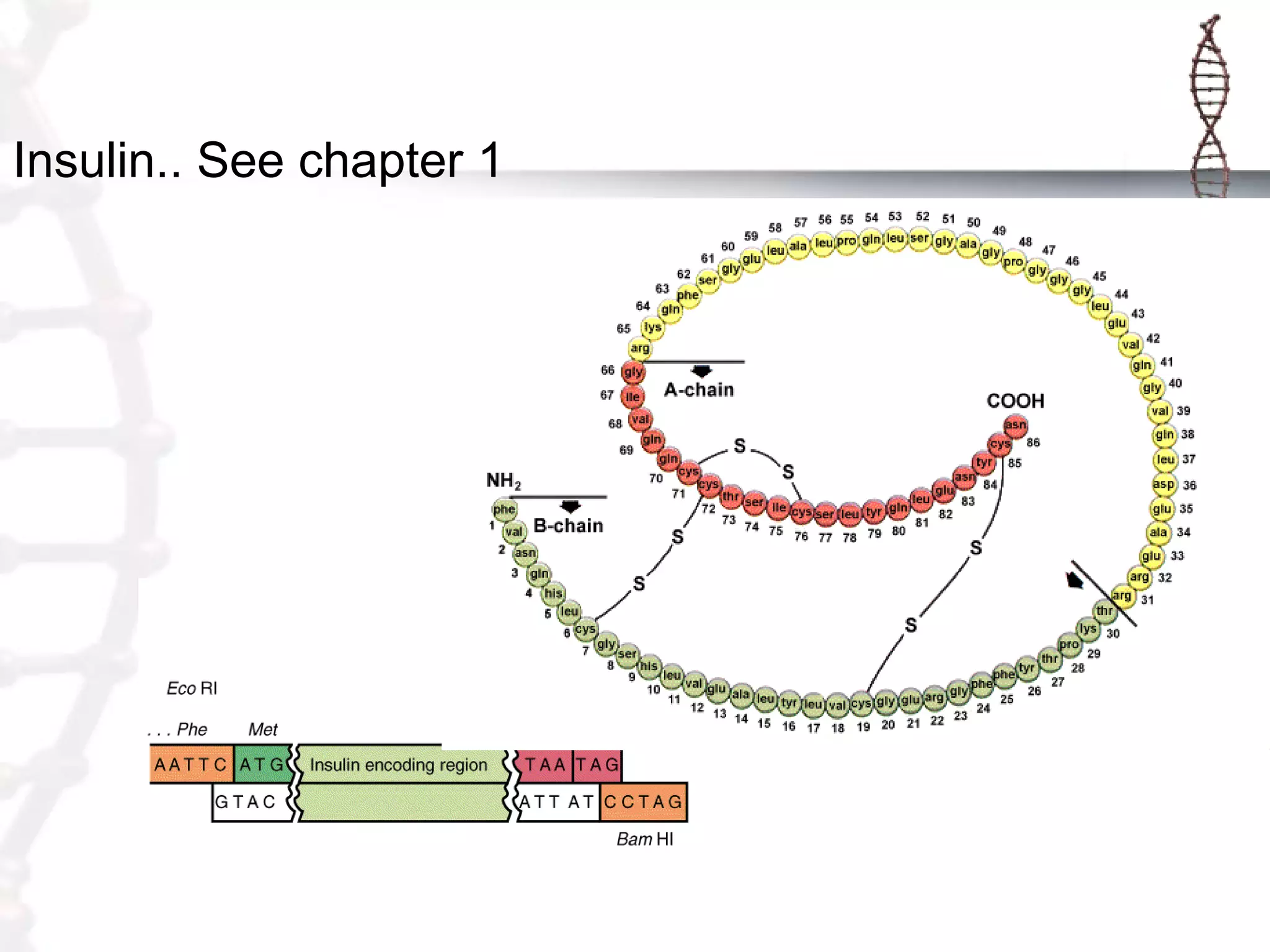 Insulin.. See chapter 1

 