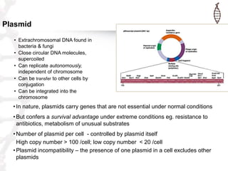 Plasmid
• Extrachromosomal DNA found in
bacteria & fungi
• Close circular DNA molecules,
supercoiled
• Can replicate auton...