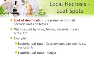 Local Necrosis –
Leaf Spots
Spot of death cell or the presence of small
necrotic areas on leaves
Might caused by virus, fungal, bacteria, insect
bites, etc.
Example :
Bacteria leaf spot – Xanthomonas campestris pv.
vesicatoria
Septoria leaf spots - fungus

 